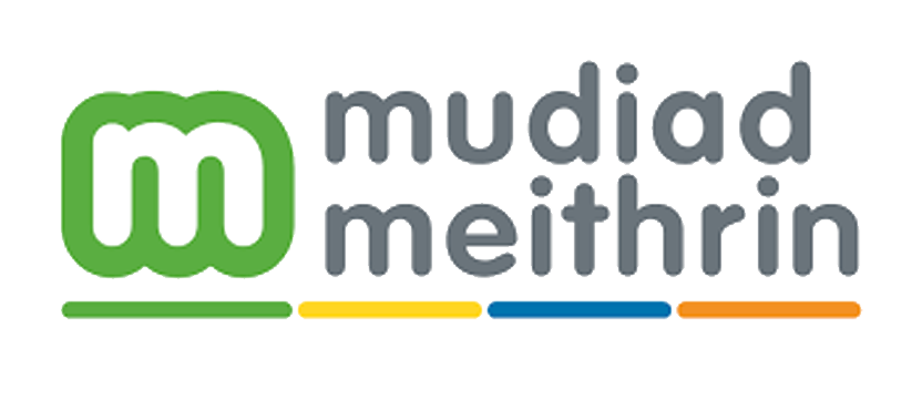 https://pitterpatterplay.co.uk/wp-content/uploads/2024/03/mudiad-meithrin.png